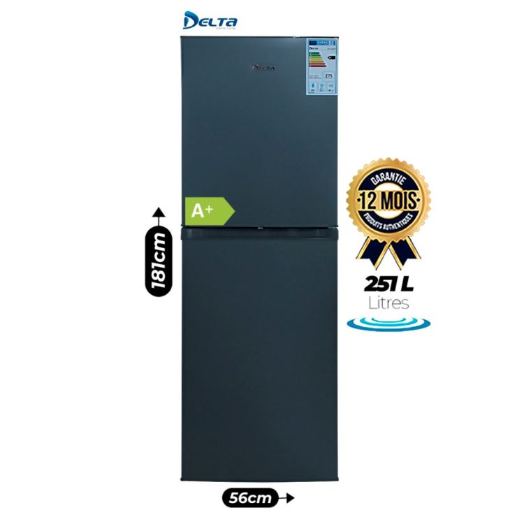 Réfrigérateur Combiné DELTA - 251 Litres