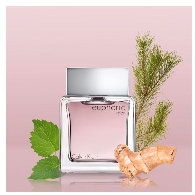 Eau de toilette - Calvin Klein - Euphoria - Homme - Parfum boisé oriental - 100 ml