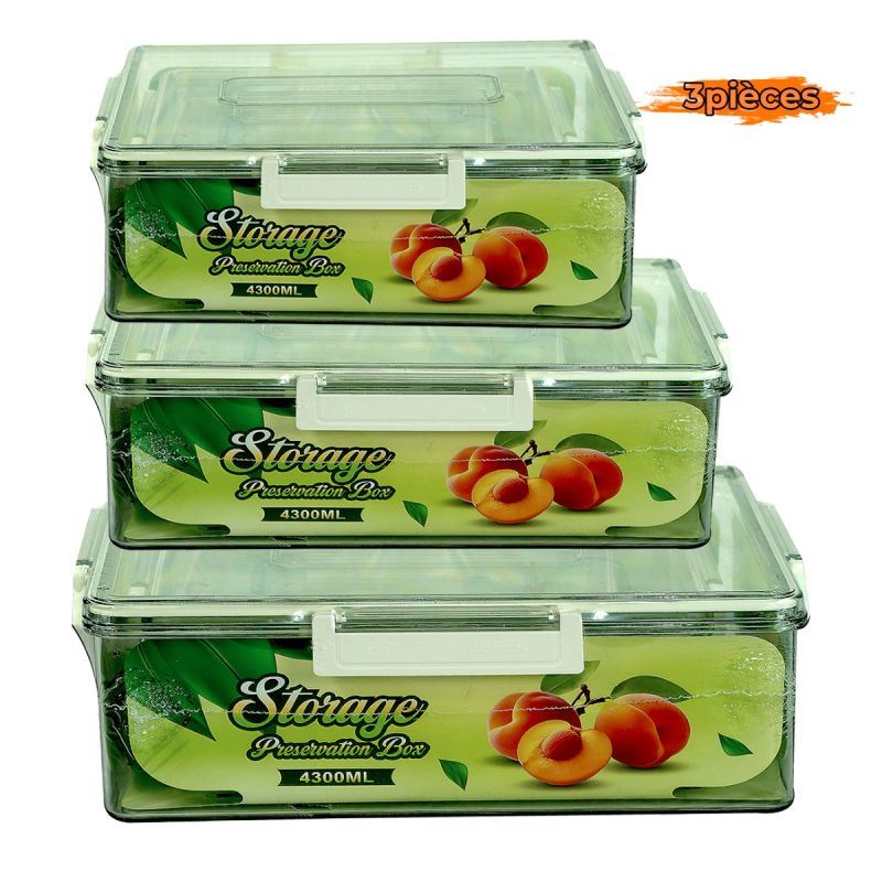 Boîtes de Conservation Hermétiques en Plastique – Lot de 3 pièces – KR2504131 – Résistance -20°C à 60°C – 4300 ml + 2200 ml + 800 ml