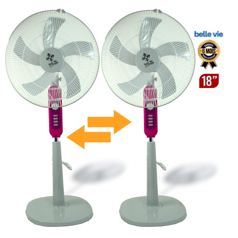 Lot de 2 ventilateurs sur Pied Belle vie 18"
