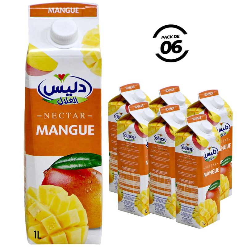 Pack de 6 jus Nectar Mangue - 1L