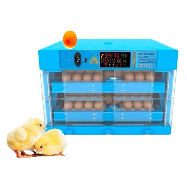 Mini Incubateur Automatique 4 Œufs - Couveuse Numérique Pour Poules, Canards - Home Éclosoir