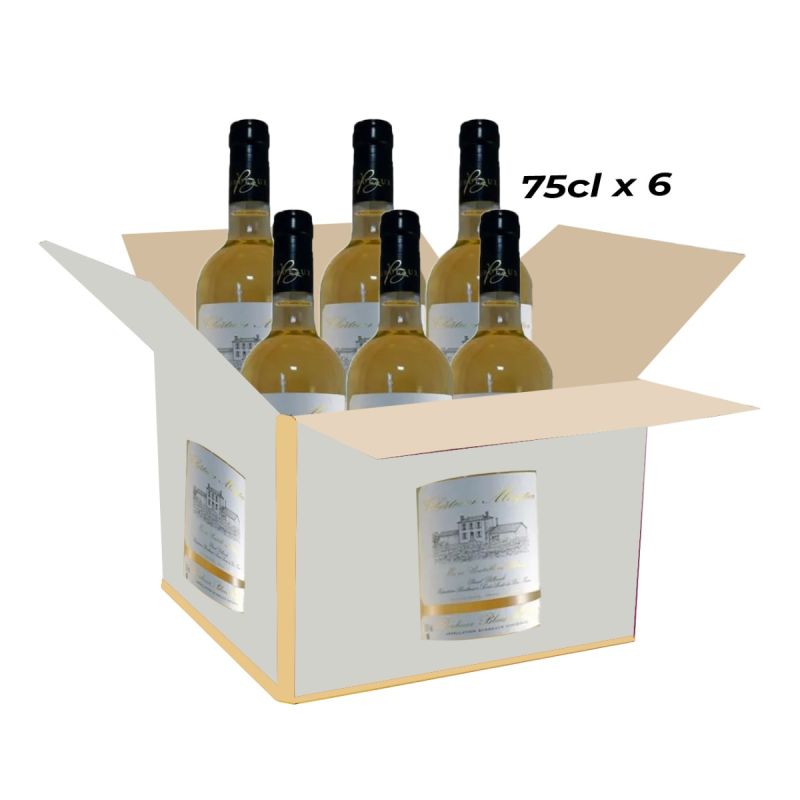 Carton de 6 Vins Blanc Chateau Mazetier Bordeaux - 11% 2019 - 75 CL