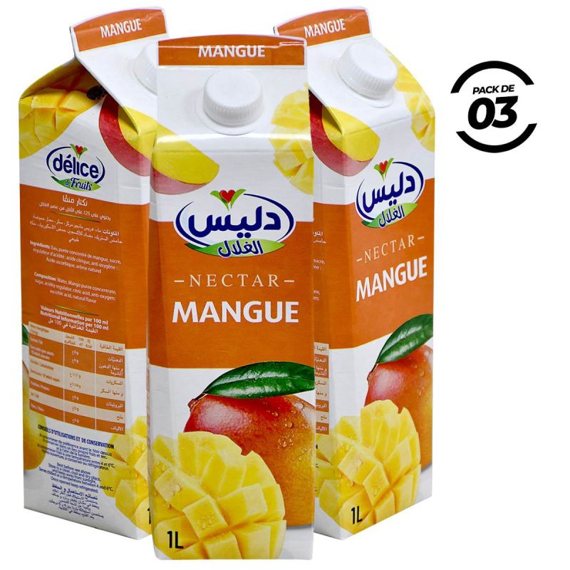  Pack de 3 Jus de Fruits Nectar Mangue - 1L