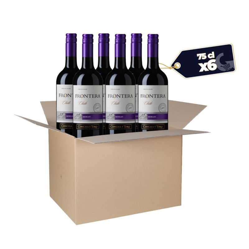 Vin Rouge Frontera Merlot - 75 cl - Carton de 6 bouteilles | Glotelho Cameroun
