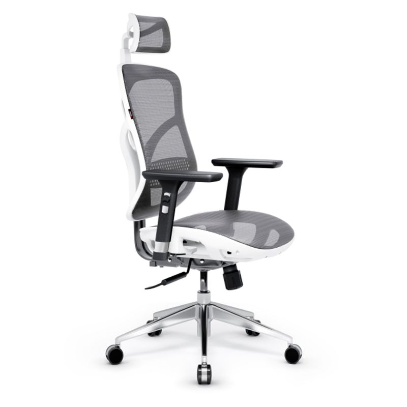 Chaise de bureau ergonomique prix Cameroun