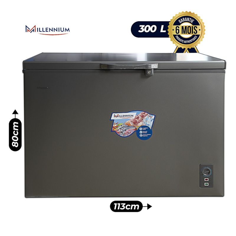 Congélateur Coffre MILLENIUM 300 Litres, A+, avec panier, vitres coulissantes et serrure, gris vendu sur Glotelho.