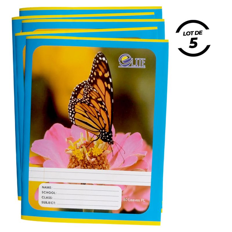 Lot de 05 cahiers - élite - 80 feuilles - Multicolore