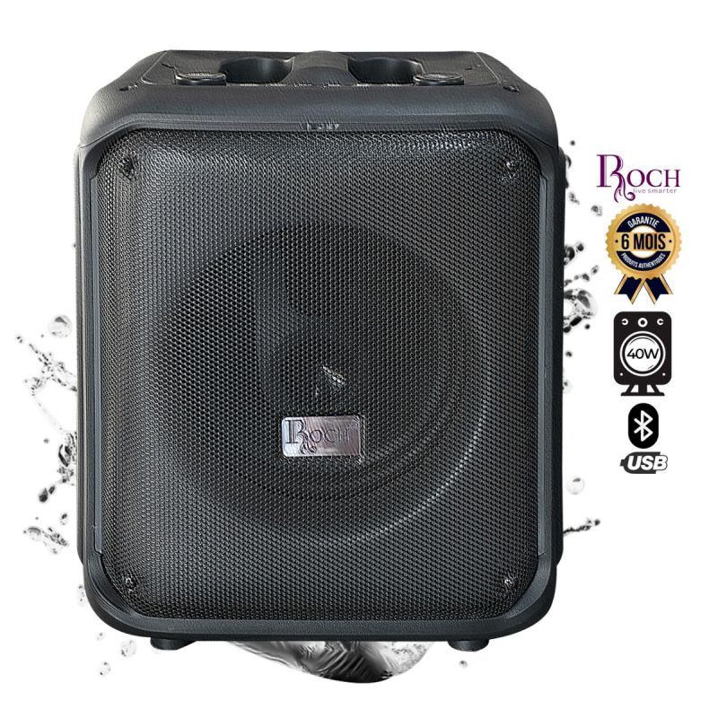 Enceinte rechargeable Roch 40 Watt prix Cameroun