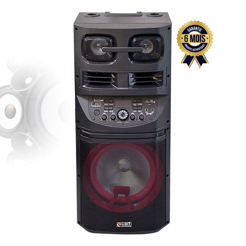Haut-parleur Ubit - TR-124 - 100W  (Prix en fcfa) | Glotelho Cameroun