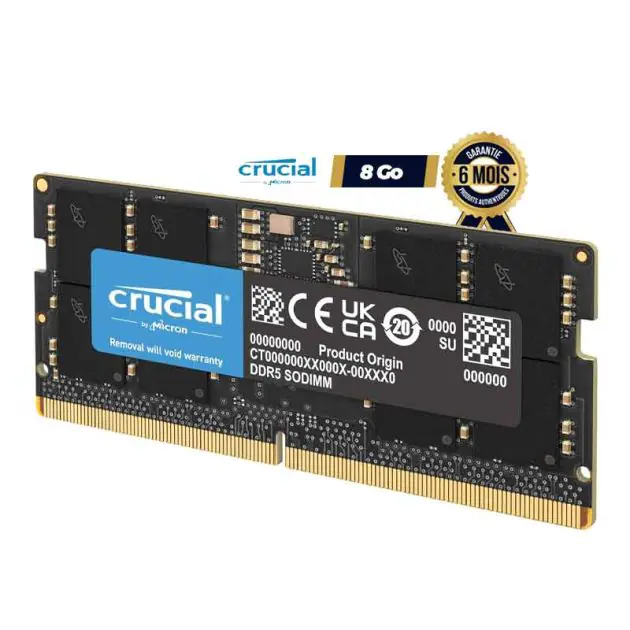 Lot De Barrettes Mémoire RAM Crucial DDR2 - 2 Go, 4 Go Ou 8 Go - PC2-5300 / 6400 - Pour PC Portable Ou Bureau