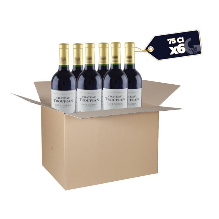 Carton de 6 Bouteilles de Vin Rouge Haut Medoc - Chateau Troupian 12%alc - 75cl| Glotelho Cameroun