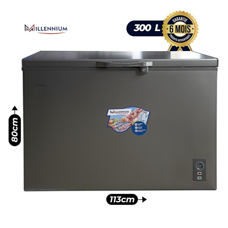 Congélateur Coffre MILLENIUM 300 Litres, A+, avec panier, vitres coulissantes et serrure, gris vendu sur Glotelho.