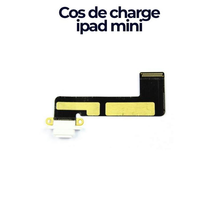 Remplacer votre cos de charge iPad mini - Pièce de rechange d'origine | Glotelho Cameroun