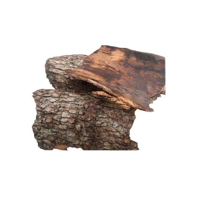  Ecorce d'arbre EKENG - 250g|Glotelho CAMEROUN 