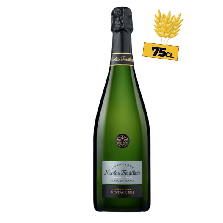 Champagne Nicolas Feuillatte Collection Vintage Blanc des Blancs - 75cl | Glotelho Cameroun