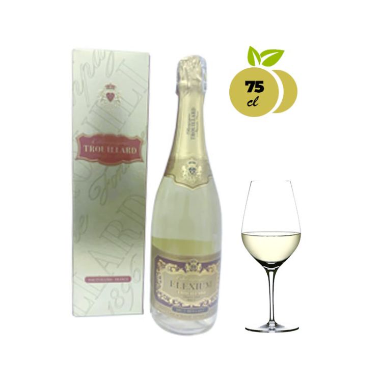 Champagne Trouillard brut brillant - 75cl price in fcfa | Glotelho Cameroon