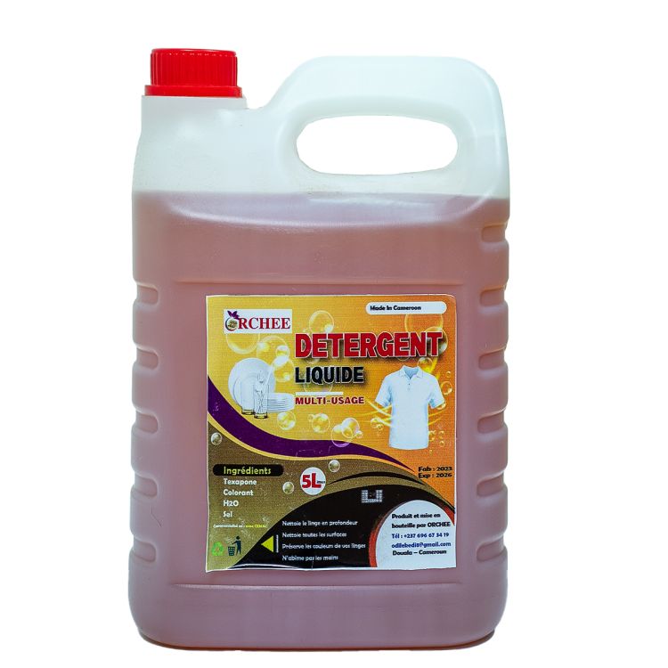 Multi-purpose detergent Cameroon price