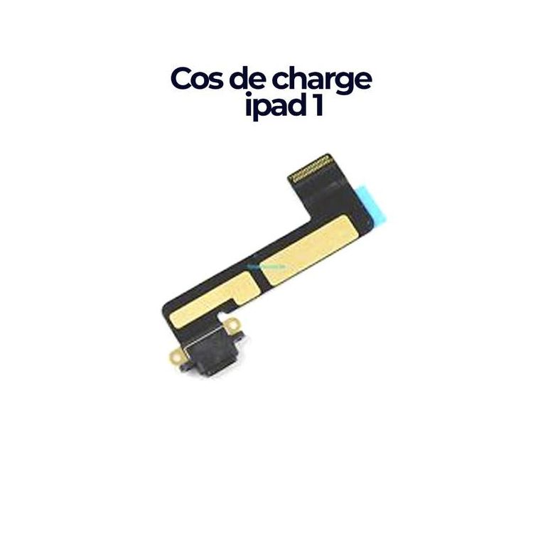 Remplacer votre cos de charge ipad 1 - Pièce de  rechange d'origine