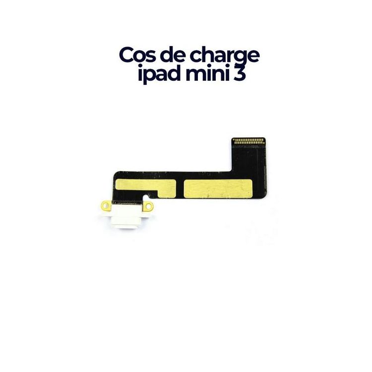 Remplacer votre cos de charge iPad mini 3 - Pièce de rechange d'origine