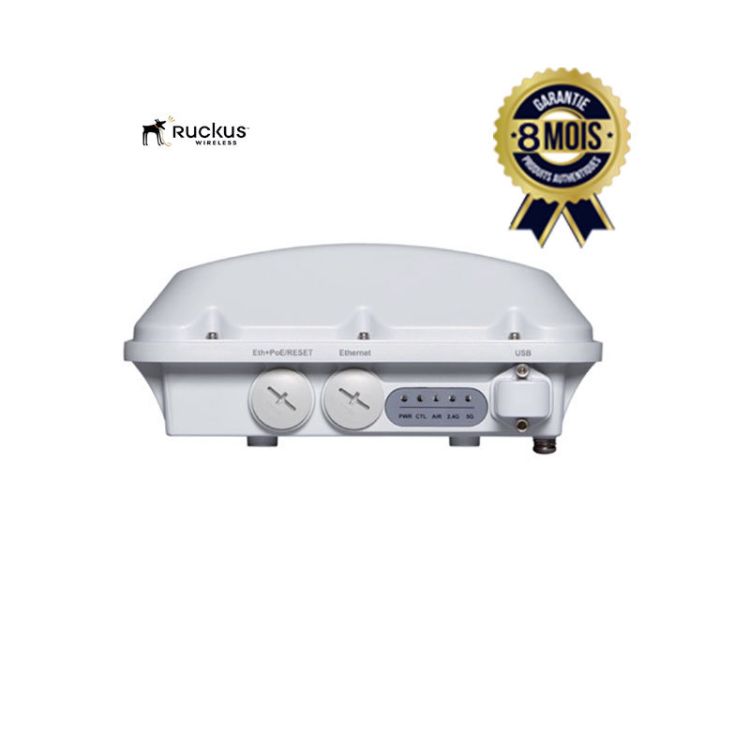 Point d'accès Wi-Fi extérieur Ruckus T610 - Sans fil - Garantie 8 Mois