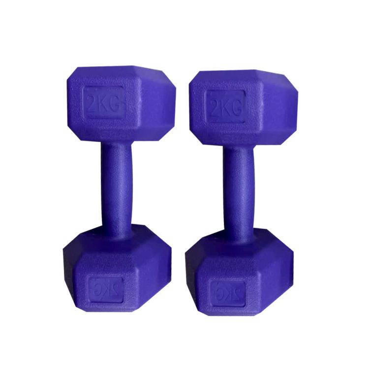 Haltères hexagonaux de 2 kg pour hommes et femmes| Glotelho Cameroun