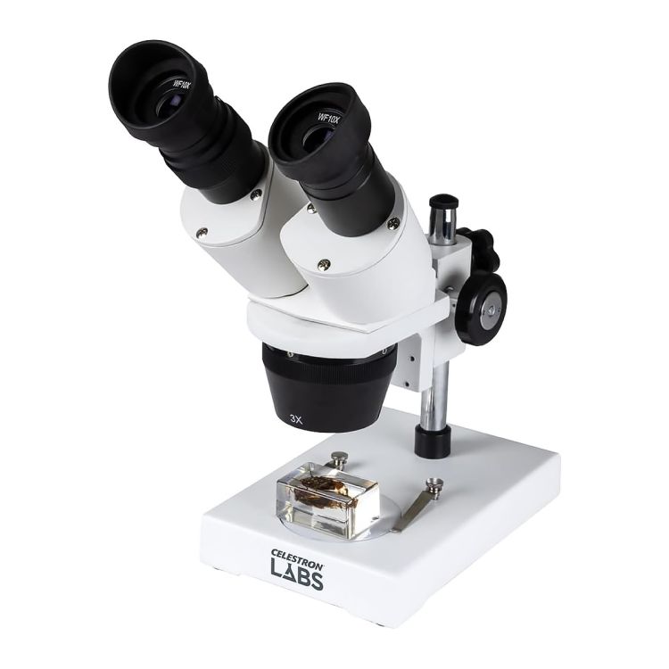 Microscope stéréo binoculaire 10x et 30x - Celestron Labs S1030N - Tête ergonomique inclinable - Conception Greenough - Éclairage naturel - Platine réversible noir et blanc - Sans fil