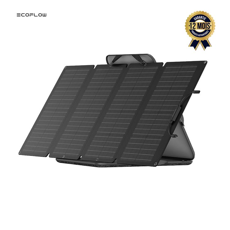 Panneau Solaire 160W - Ecoflow