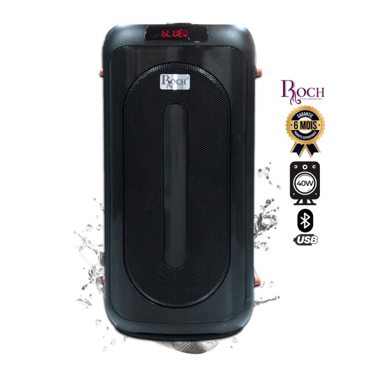 Speaker Rechargeable Roch 40 watt