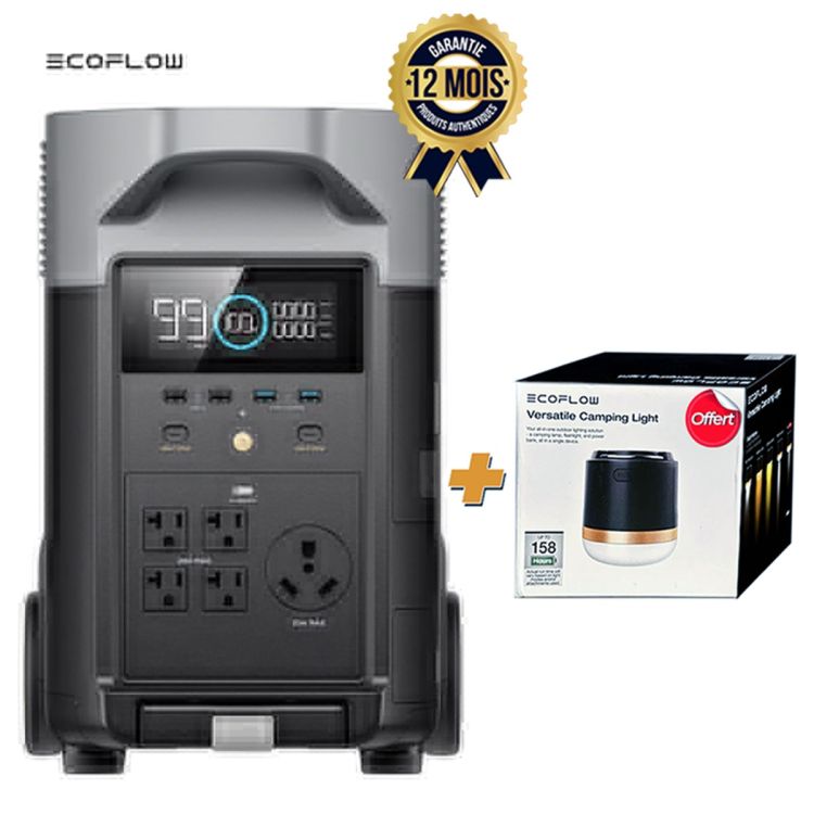 Station d'énergie portable EcoFlow DELTA Pro