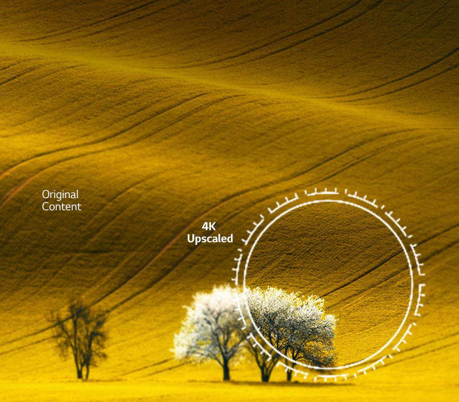  lG Smart Tv 43 pouces 