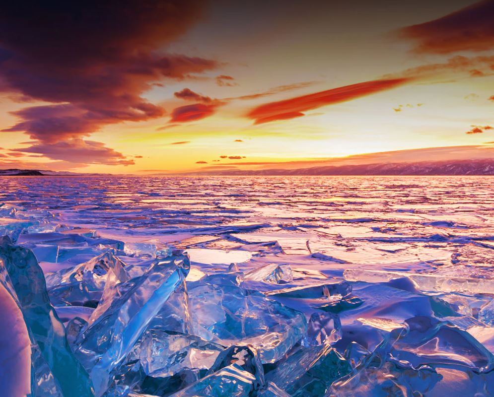  LG Smart TV 55 pouces 