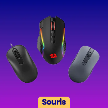 Souris